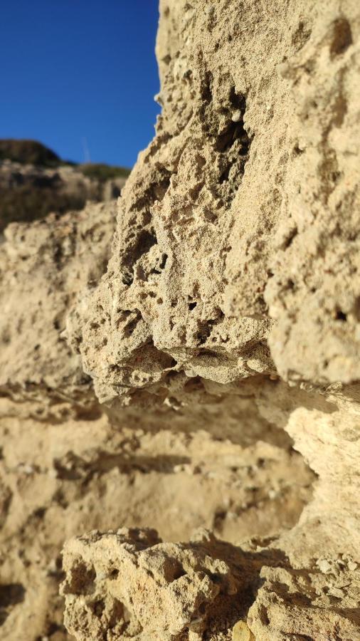 Fantastic 4 Cyprus First Line Beachfront Boghaz Eksteriør bilde