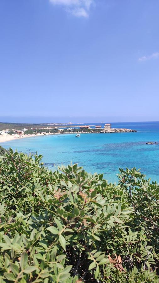 Fantastic 4 Cyprus First Line Beachfront Boghaz Eksteriør bilde