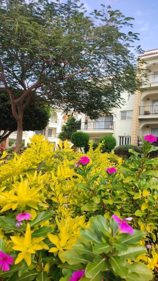 Fantastic 4 Cyprus First Line Beachfront Boghaz Eksteriør bilde